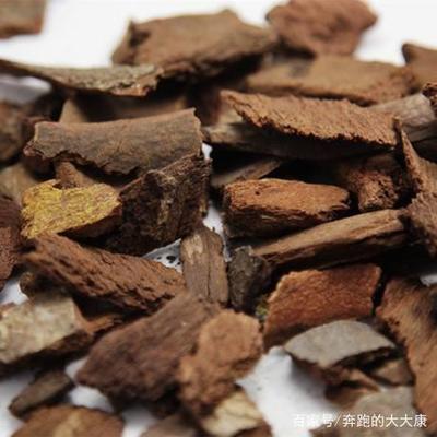 探索中药材“追地风” 祛风除湿的良药，值得收藏的瑰宝